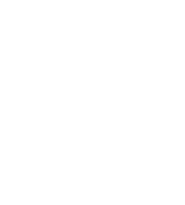 Shapwck Village - Transport Sustainability