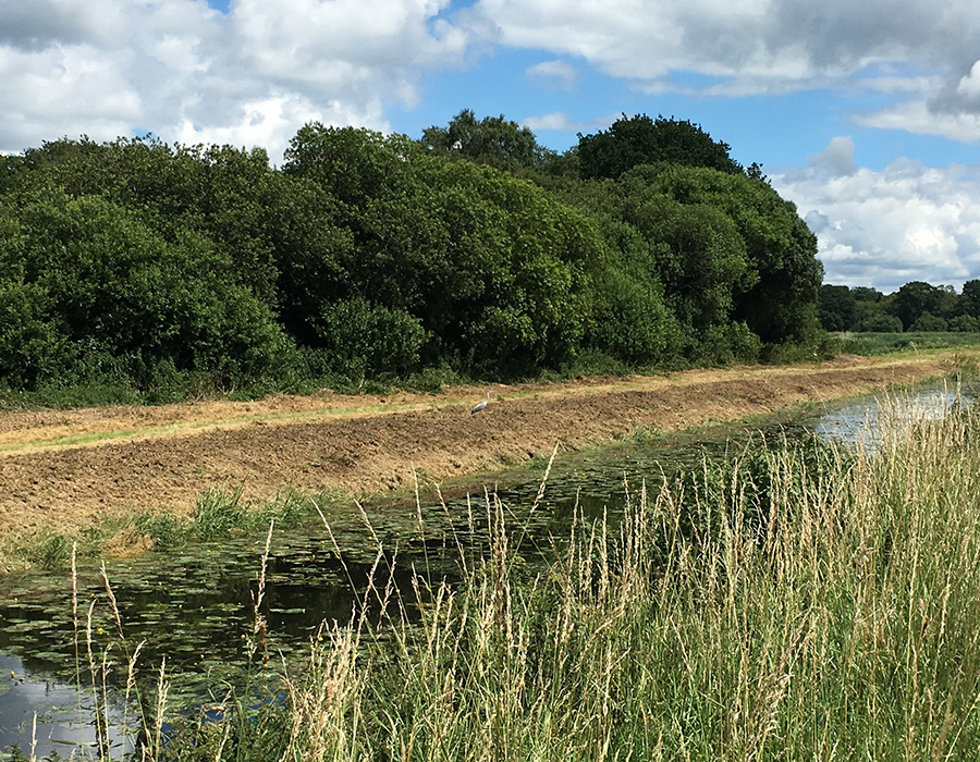 Nature Reserve