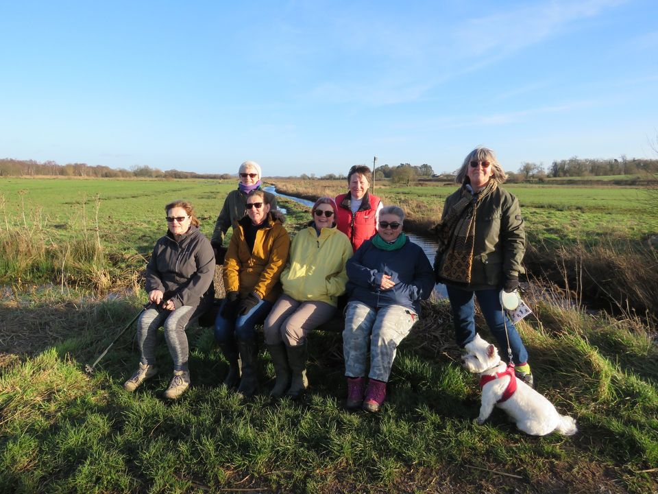 Shapwick WI